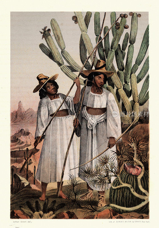 19世纪50年代，维多利亚时代，索诺兰沙漠Tohono O ' odham族的印第安妇女